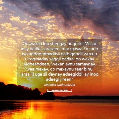 Picture 05 - Baxniintii 14:5 SOM - Oo waxaa loo sheegay boqorkii Masar inay dadkii - Bible Verse Picture
