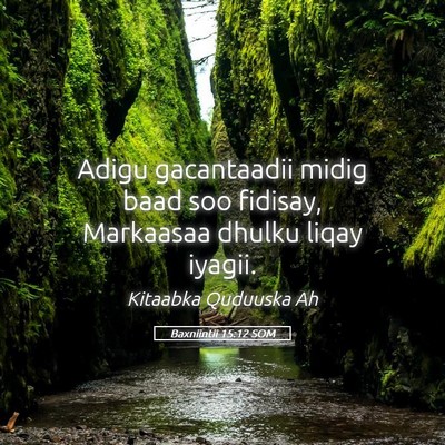 Picture 05 - Baxniintii 15:12 SOM - Adigu gacantaadii midig baad soo fidisay, - Bible Verse Picture