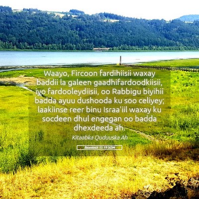 Picture 05 - Baxniintii 15:19 SOM - Waayo, Fircoon fardihiisii waxay baddii la galeen - Bible Verse Picture