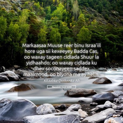 Picture 05 - Baxniintii 15:22 SOM - Markaasaa Muuse reer binu Israa'iil hore uga sii - Bible Verse Picture
