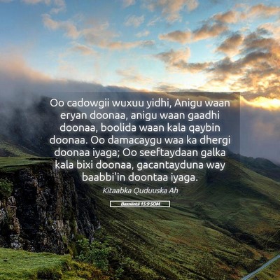 Picture 05 - Baxniintii 15:9 SOM - Oo cadowgii wuxuu yidhi, Anigu waan eryan doonaa, - Bible Verse Picture