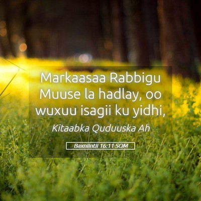 Picture 05 - Baxniintii 16:11 SOM - Markaasaa Rabbigu Muuse la hadlay, oo wuxuu - Bible Verse Picture