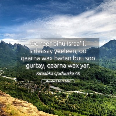 Picture 05 - Baxniintii 16:17 SOM - Oo reer binu Israa'iil sidaasay yeeleen, oo - Bible Verse Picture