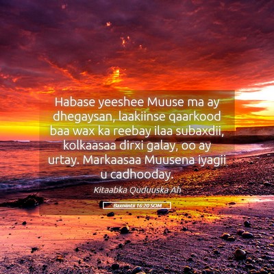 Picture 05 - Baxniintii 16:20 SOM - Habase yeeshee Muuse ma ay dhegaysan, laakiinse - Bible Verse Picture