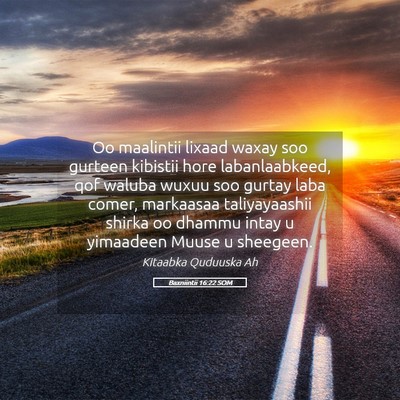 Picture 05 - Baxniintii 16:22 SOM - Oo maalintii lixaad waxay soo gurteen kibistii - Bible Verse Picture