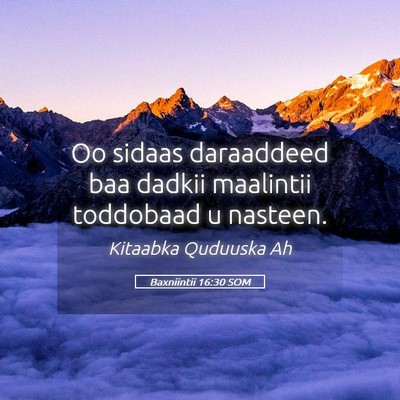 Picture 05 - Baxniintii 16:30 SOM - Oo sidaas daraaddeed baa dadkii maalintii - Bible Verse Picture