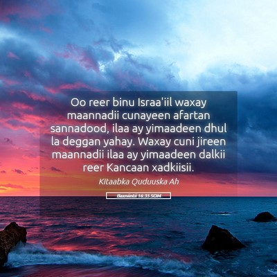 Picture 05 - Baxniintii 16:35 SOM - Oo reer binu Israa'iil waxay maannadii cunayeen - Bible Verse Picture