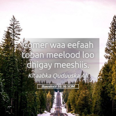 Picture 05 - Baxniintii 16:36 SOM - Comer waa eefaah toban meelood loo dhigay - Bible Verse Picture