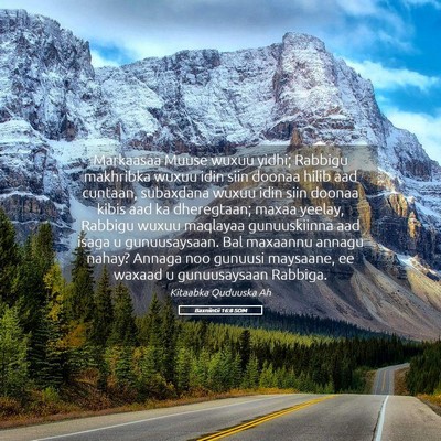 Picture 05 - Baxniintii 16:8 SOM - Markaasaa Muuse wuxuu yidhi; Rabbigu makhribka - Bible Verse Picture