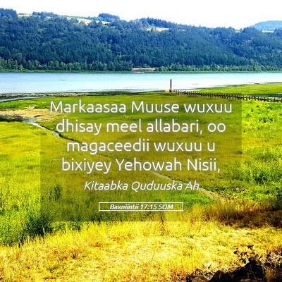 Picture 05 - Baxniintii 17:15 SOM - Markaasaa Muuse wuxuu dhisay meel allabari, oo - Bible Verse Picture