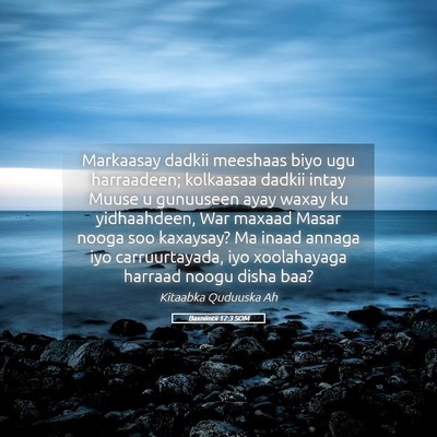 Picture 05 - Baxniintii 17:3 SOM - Markaasay dadkii meeshaas biyo ugu harraadeen; - Bible Verse Picture