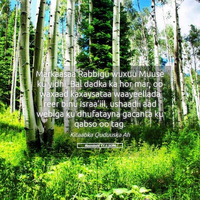 Picture 05 - Baxniintii 17:5 SOM - Markaasaa Rabbigu wuxuu Muuse ku yidhi, Bal dadka - Bible Verse Picture