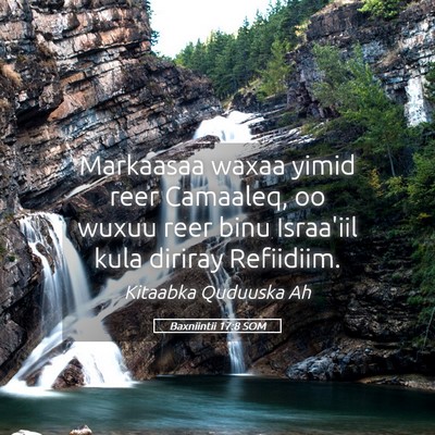 Picture 05 - Baxniintii 17:8 SOM - Markaasaa waxaa yimid reer Camaaleq, oo wuxuu - Bible Verse Picture