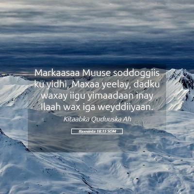Picture 05 - Baxniintii 18:15 SOM - Markaasaa Muuse soddoggiis ku yidhi, Maxaa - Bible Verse Picture
