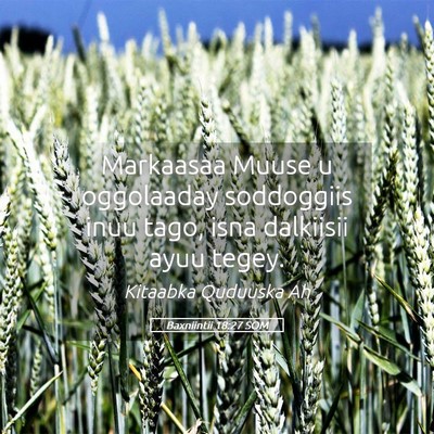 Picture 05 - Baxniintii 18:27 SOM - Markaasaa Muuse u oggolaaday soddoggiis inuu - Bible Verse Picture