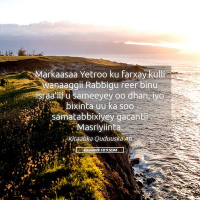 Picture 05 - Baxniintii 18:9 SOM - Markaasaa Yetroo ku farxay kulli wanaaggii - Bible Verse Picture