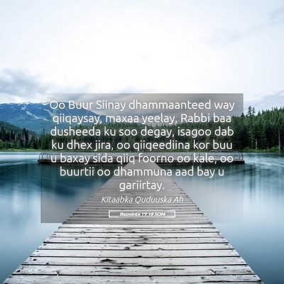 Picture 05 - Baxniintii 19:18 SOM - Oo Buur Siinay dhammaanteed way qiiqaysay, maxaa - Bible Verse Picture