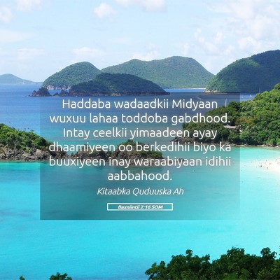 Picture 05 - Baxniintii 2:16 SOM - Haddaba wadaadkii Midyaan wuxuu lahaa toddoba - Bible Verse Picture