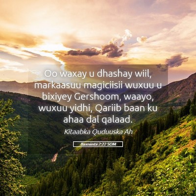 Picture 05 - Baxniintii 2:22 SOM - Oo waxay u dhashay wiil, markaasuu magiciisii - Bible Verse Picture