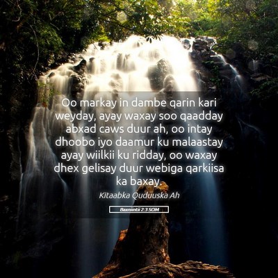 Picture 05 - Baxniintii 2:3 SOM - Oo markay in dambe qarin kari weyday, ayay waxay - Bible Verse Picture