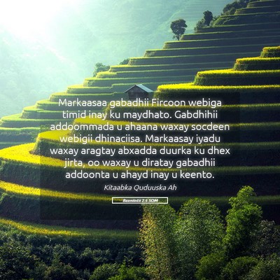 Picture 05 - Baxniintii 2:5 SOM - Markaasaa gabadhii Fircoon webiga timid inay ku - Bible Verse Picture