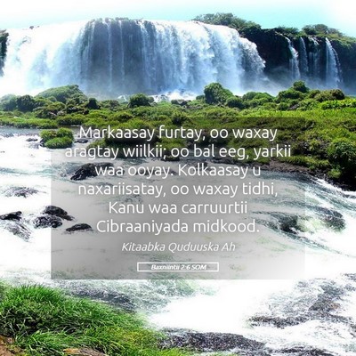 Picture 05 - Baxniintii 2:6 SOM - Markaasay furtay, oo waxay aragtay wiilkii; oo - Bible Verse Picture