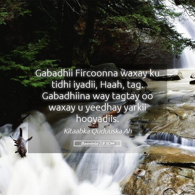 Picture 05 - Baxniintii 2:8 SOM - Gabadhii Fircoonna waxay ku tidhi iyadii, Haah, - Bible Verse Picture