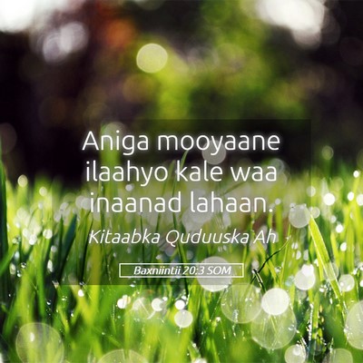 Picture 05 - Baxniintii 20:3 SOM - Aniga mooyaane ilaahyo kale waa inaanad - Bible Verse Picture