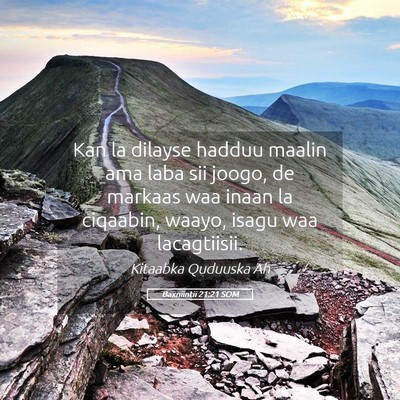Picture 05 - Baxniintii 21:21 SOM - Kan la dilayse hadduu maalin ama laba sii joogo, - Bible Verse Picture