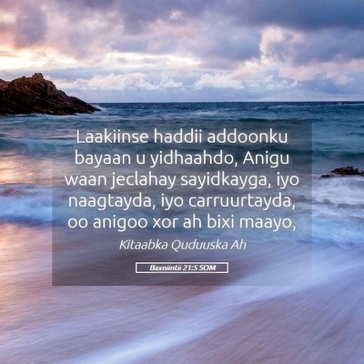 Picture 05 - Baxniintii 21:5 SOM - Laakiinse haddii addoonku bayaan u yidhaahdo, - Bible Verse Picture