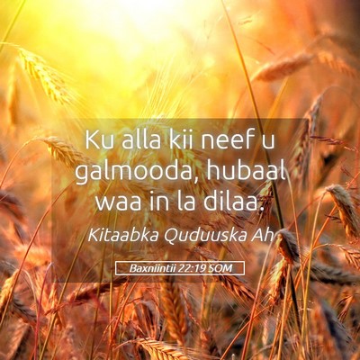 Picture 05 - Baxniintii 22:19 SOM - Ku alla kii neef u galmooda, hubaal waa in la - Bible Verse Picture