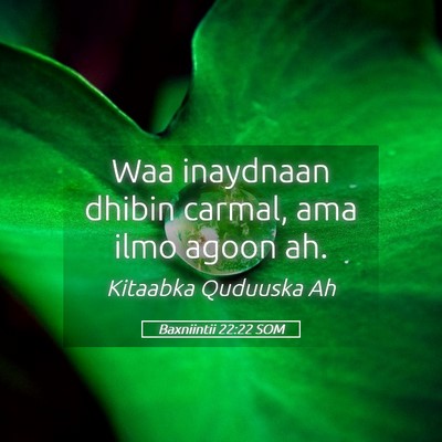 Picture 05 - Baxniintii 22:22 SOM - Waa inaydnaan dhibin carmal, ama ilmo agoon - Bible Verse Picture
