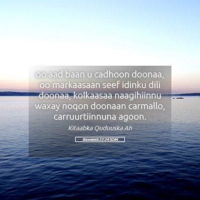 Picture 05 - Baxniintii 22:24 SOM - oo aad baan u cadhoon doonaa, oo markaasaan seef - Bible Verse Picture