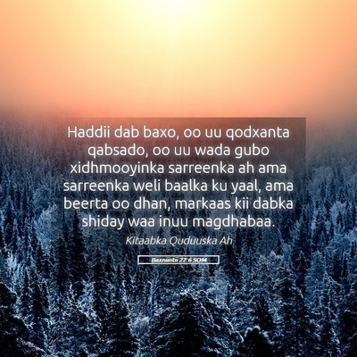 Picture 05 - Baxniintii 22:6 SOM - Haddii dab baxo, oo uu qodxanta qabsado, oo uu - Bible Verse Picture