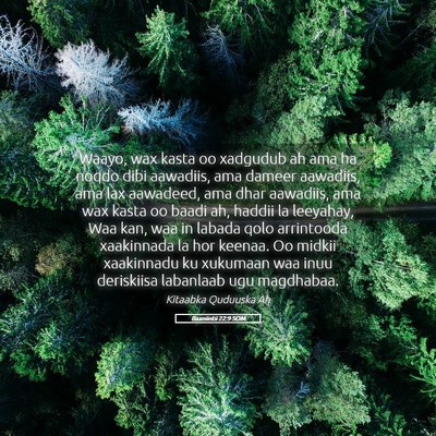 Picture 05 - Baxniintii 22:9 SOM - Waayo, wax kasta oo xadgudub ah ama ha noqdo dibi - Bible Verse Picture