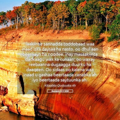Picture 05 - Baxniintii 23:11 SOM - laakiinse sannadda toddobaad waa inaad iska - Bible Verse Picture