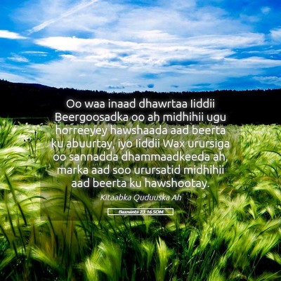 Picture 05 - Baxniintii 23:16 SOM - Oo waa inaad dhawrtaa Iiddii Beergoosadka oo ah - Bible Verse Picture