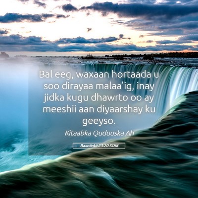 Picture 05 - Baxniintii 23:20 SOM - Bal eeg, waxaan hortaada u soo dirayaa malaa'ig, - Bible Verse Picture