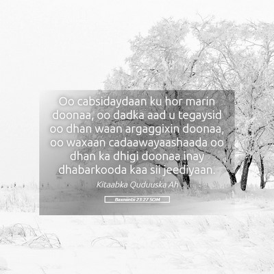 Picture 05 - Baxniintii 23:27 SOM - Oo cabsidaydaan ku hor marin doonaa, oo dadka aad - Bible Verse Picture