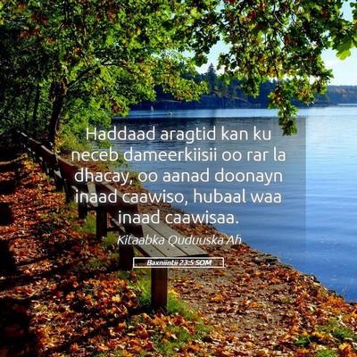 Picture 05 - Baxniintii 23:5 SOM - Haddaad aragtid kan ku neceb dameerkiisii oo rar - Bible Verse Picture