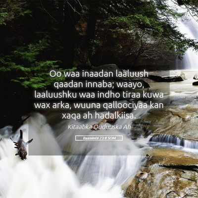 Picture 05 - Baxniintii 23:8 SOM - Oo waa inaadan laaluush qaadan innaba; waayo, - Bible Verse Picture