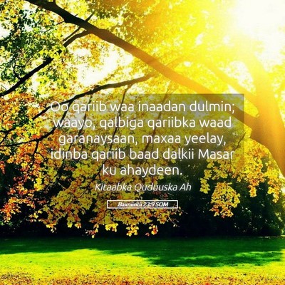 Picture 05 - Baxniintii 23:9 SOM - Oo qariib waa inaadan dulmin; waayo, qalbiga - Bible Verse Picture