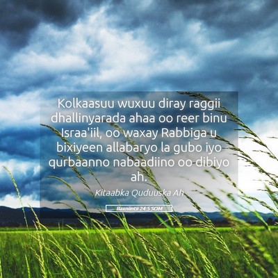Picture 05 - Baxniintii 24:5 SOM - Kolkaasuu wuxuu diray raggii dhallinyarada ahaa - Bible Verse Picture