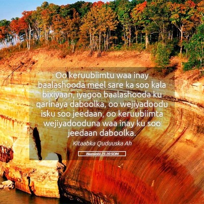 Picture 05 - Baxniintii 25:20 SOM - Oo keruubiimtu waa inay baalashooda meel sare ka - Bible Verse Picture
