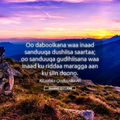Picture 05 - Baxniintii 25:21 SOM - Oo daboolkana waa inaad sanduuqa dushiisa - Bible Verse Picture