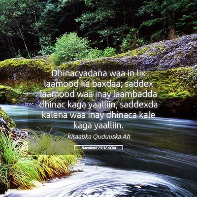 Picture 05 - Baxniintii 25:32 SOM - Dhinacyadana waa in lix laamood ka baxdaa; saddex - Bible Verse Picture