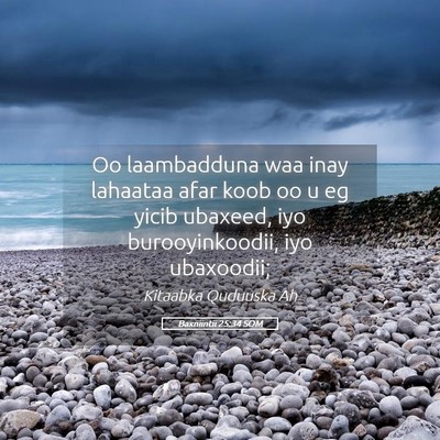 Picture 05 - Baxniintii 25:34 SOM - Oo laambadduna waa inay lahaataa afar koob oo u - Bible Verse Picture