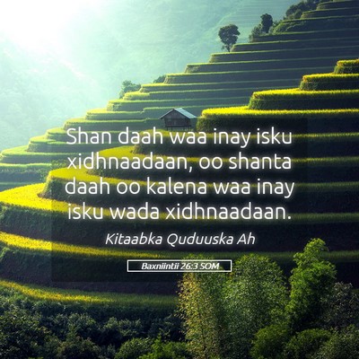 Picture 05 - Baxniintii 26:3 SOM - Shan daah waa inay isku xidhnaadaan, oo shanta - Bible Verse Picture