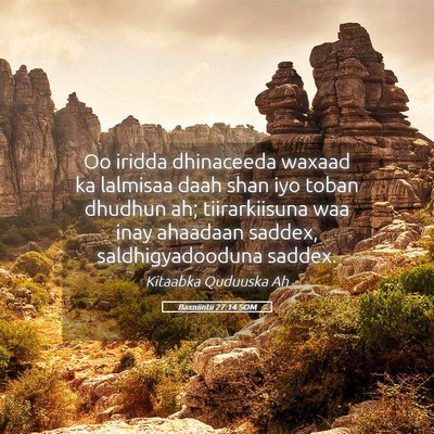 Picture 05 - Baxniintii 27:14 SOM - Oo iridda dhinaceeda waxaad ka lalmisaa daah shan - Bible Verse Picture