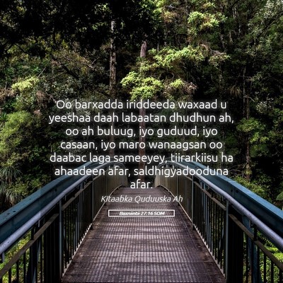 Picture 05 - Baxniintii 27:16 SOM - Oo barxadda iriddeeda waxaad u yeeshaa daah - Bible Verse Picture
